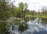 Image of landscape