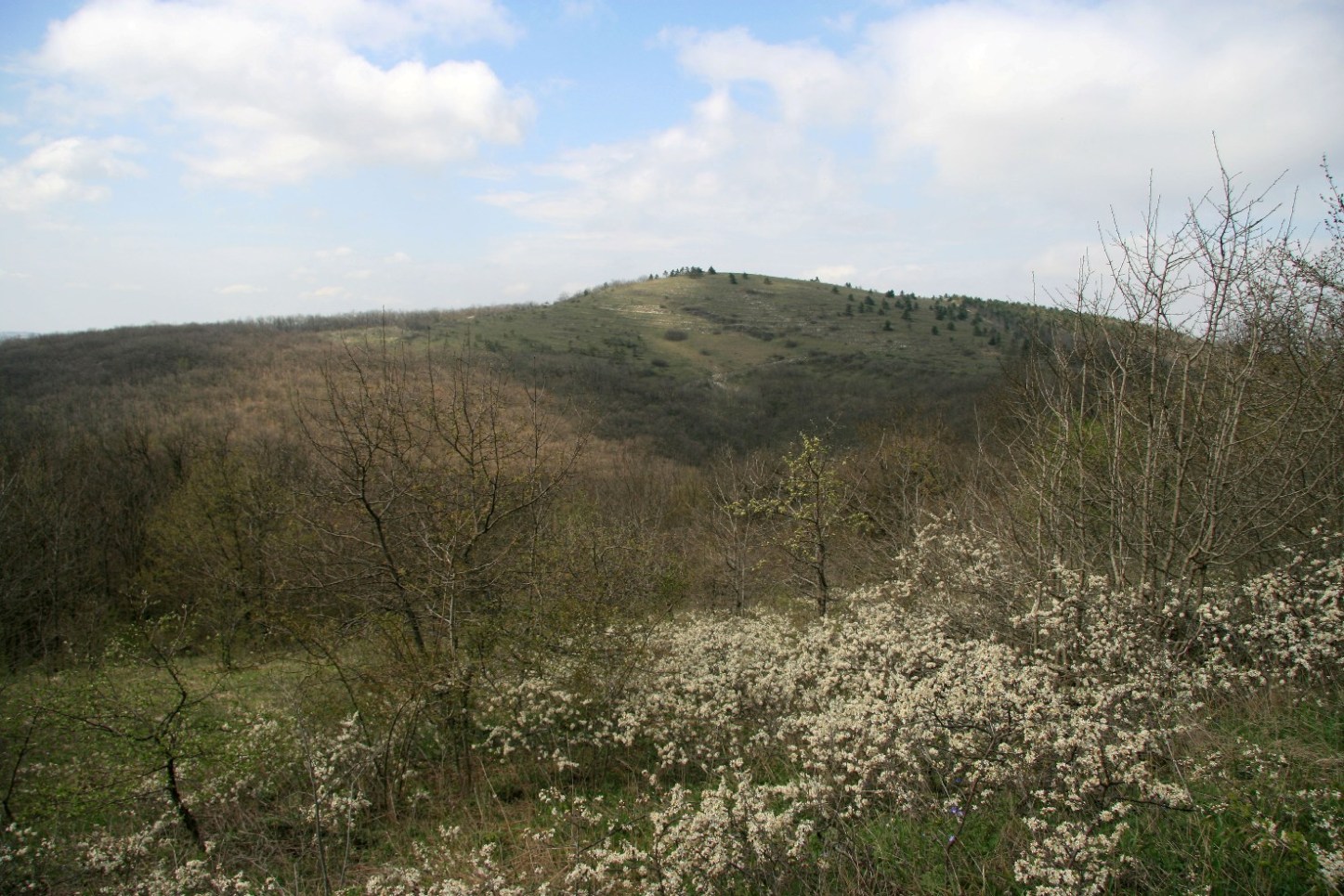 Хребет Атакай, изображение ландшафта.