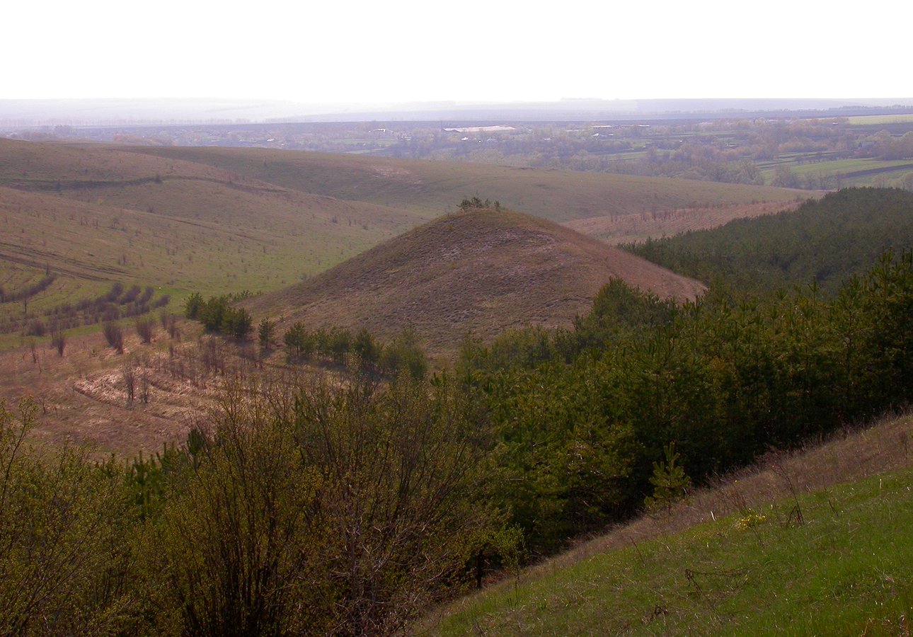 Быстрик, image of landscape/habitat.