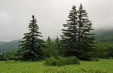 Image of landscape