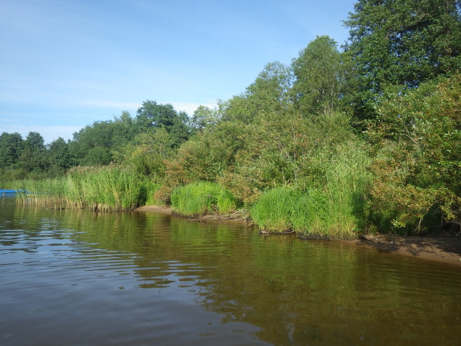 Лемболовское озеро, image of landscape/habitat.