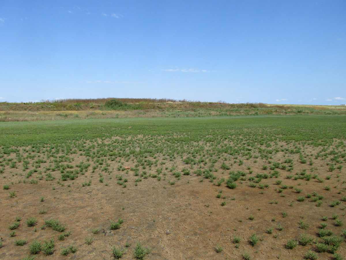 Приморский, image of landscape/habitat.