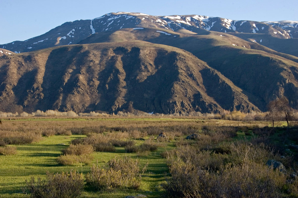 Окрестности села Коксу, image of landscape/habitat.