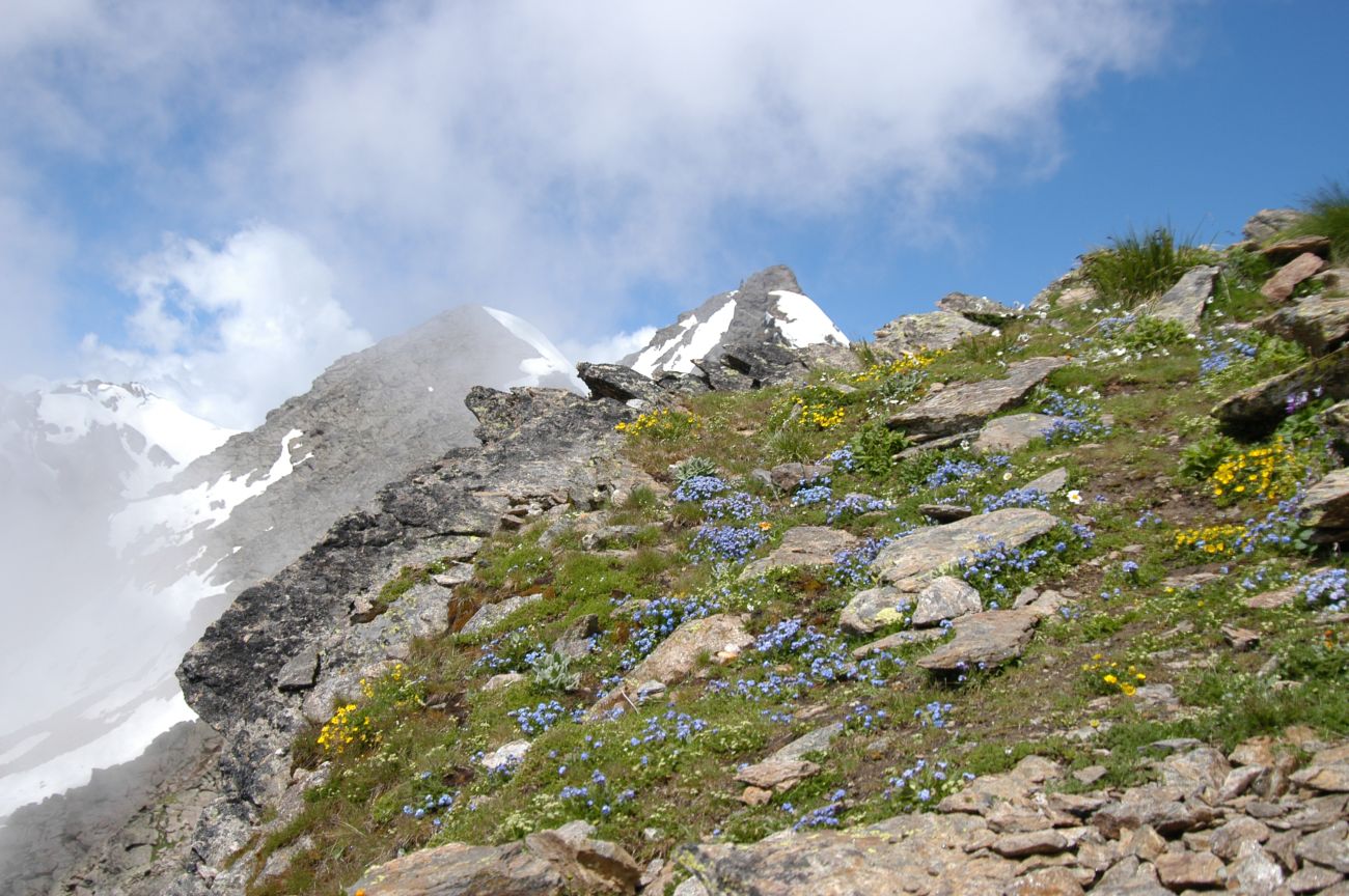 Метеостанция на горе Чегет, image of landscape/habitat.