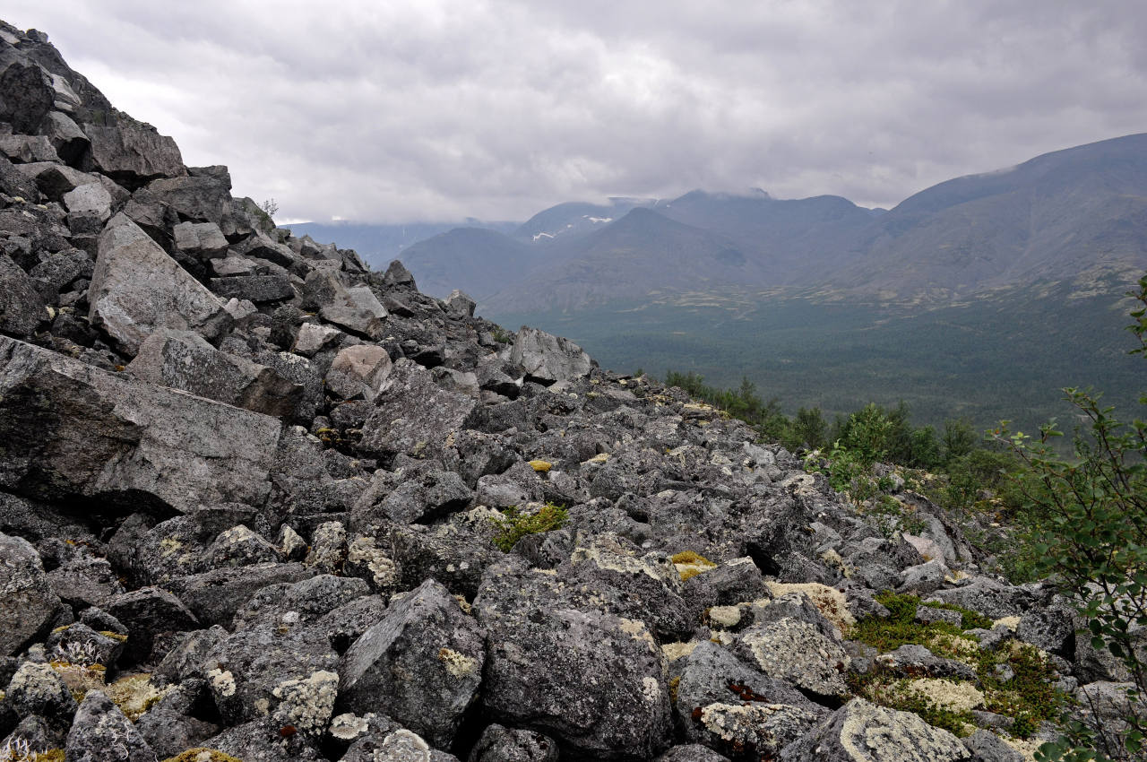 Северный склон горы Куэльпорр, image of landscape/habitat.