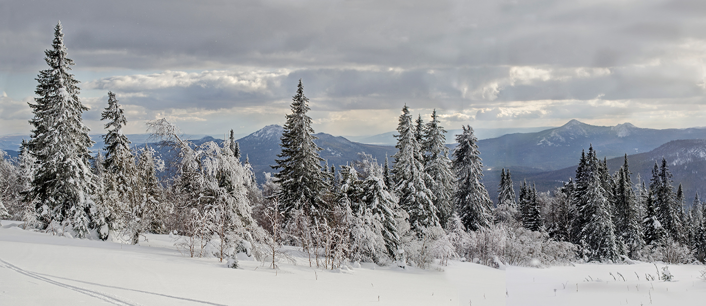 Окрестности хребта Ялангас, image of landscape/habitat.