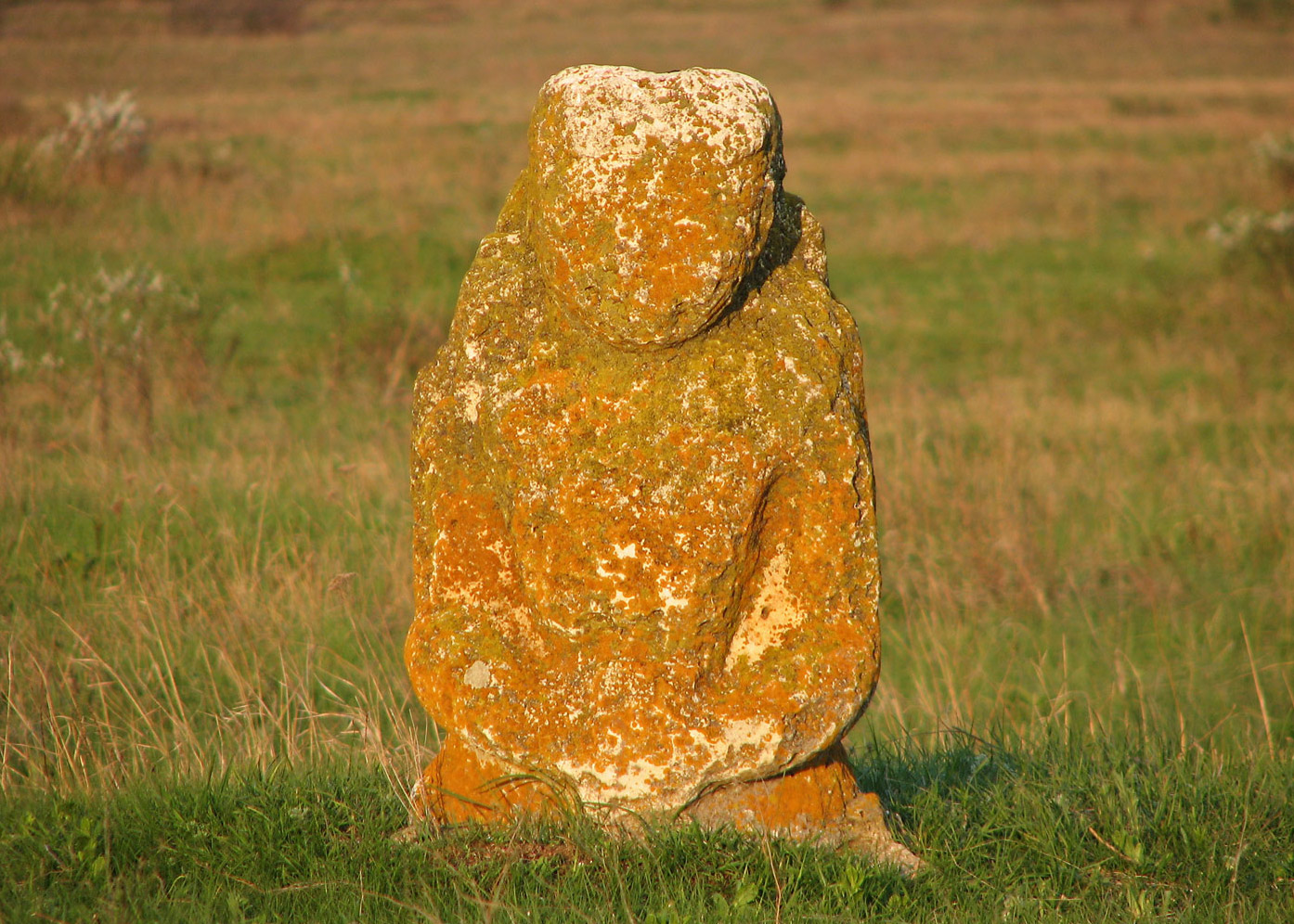 Хомутовская степь, image of landscape/habitat.