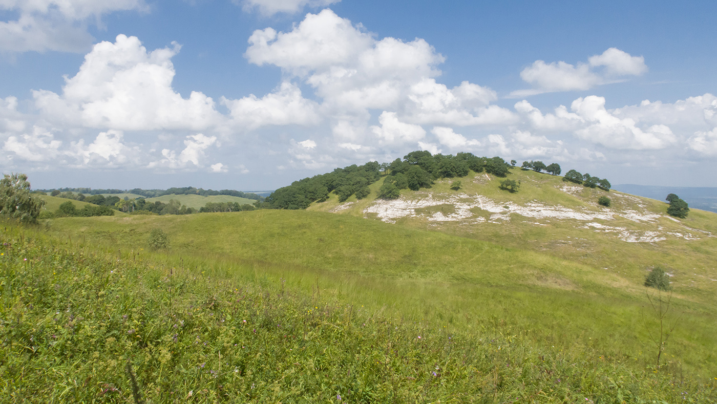 Герпегем, image of landscape/habitat.