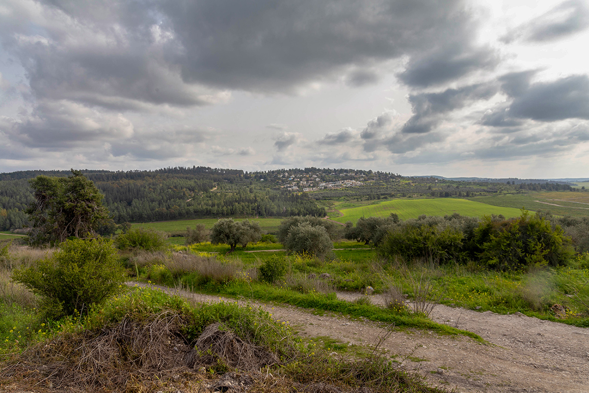 Окрестности Латруна, image of landscape/habitat.