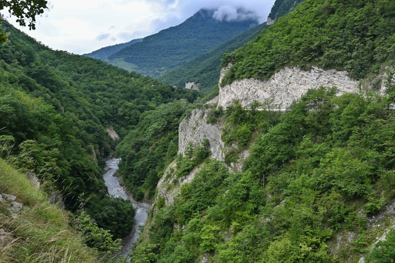 Аргунское ущелье, image of landscape/habitat.
