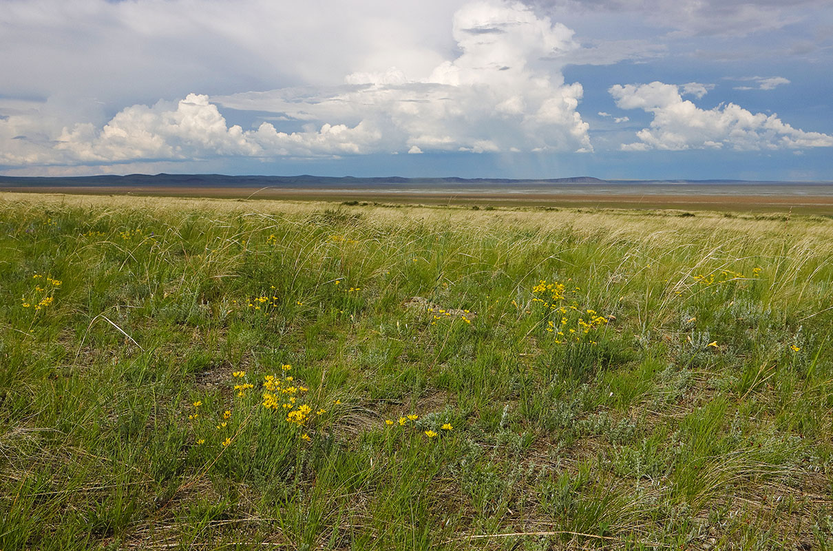 Тэли, image of landscape/habitat.