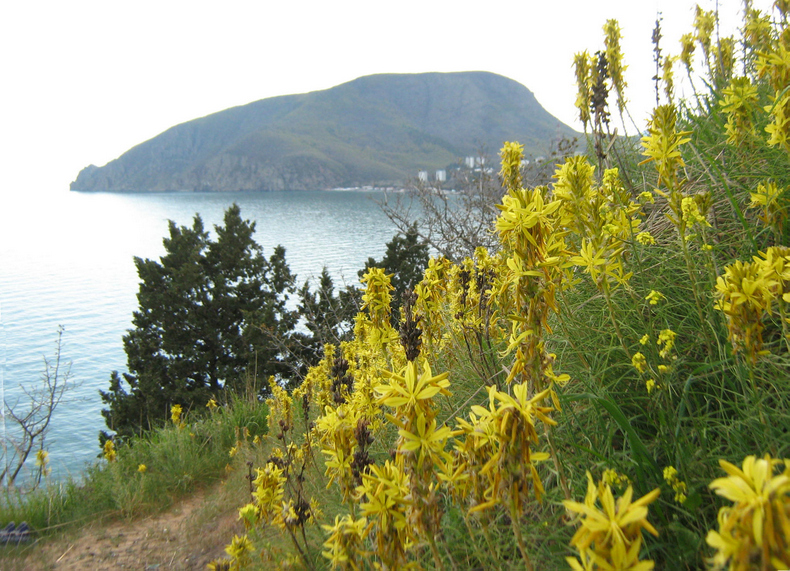 Ламбата, image of landscape/habitat.