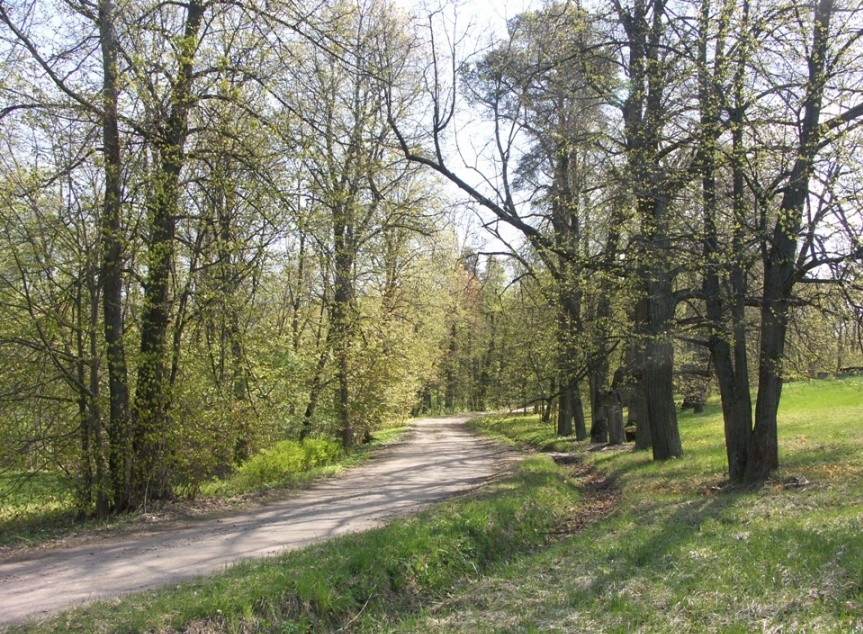 Парк "Сергиевка", image of landscape/habitat.