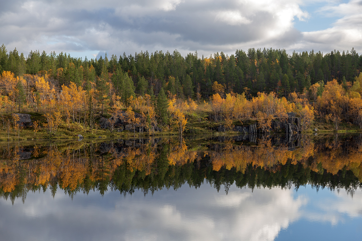 Беличий хвост, image of landscape/habitat.
