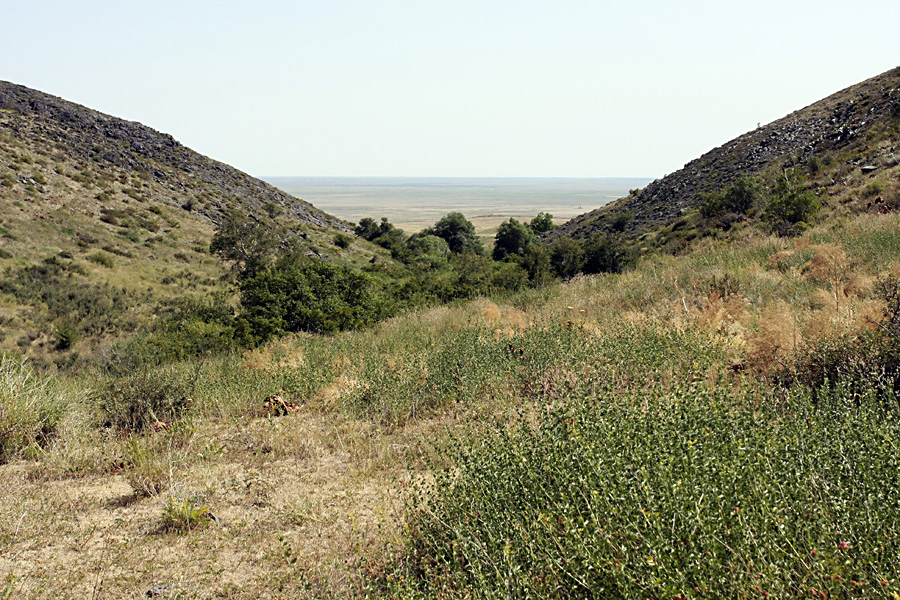 Ущелье Саясу, image of landscape/habitat.