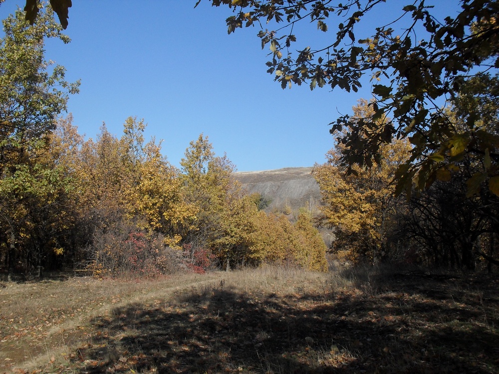 Кировск и окрестности, image of landscape/habitat.