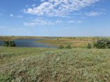 Приморский, image of landscape/habitat.