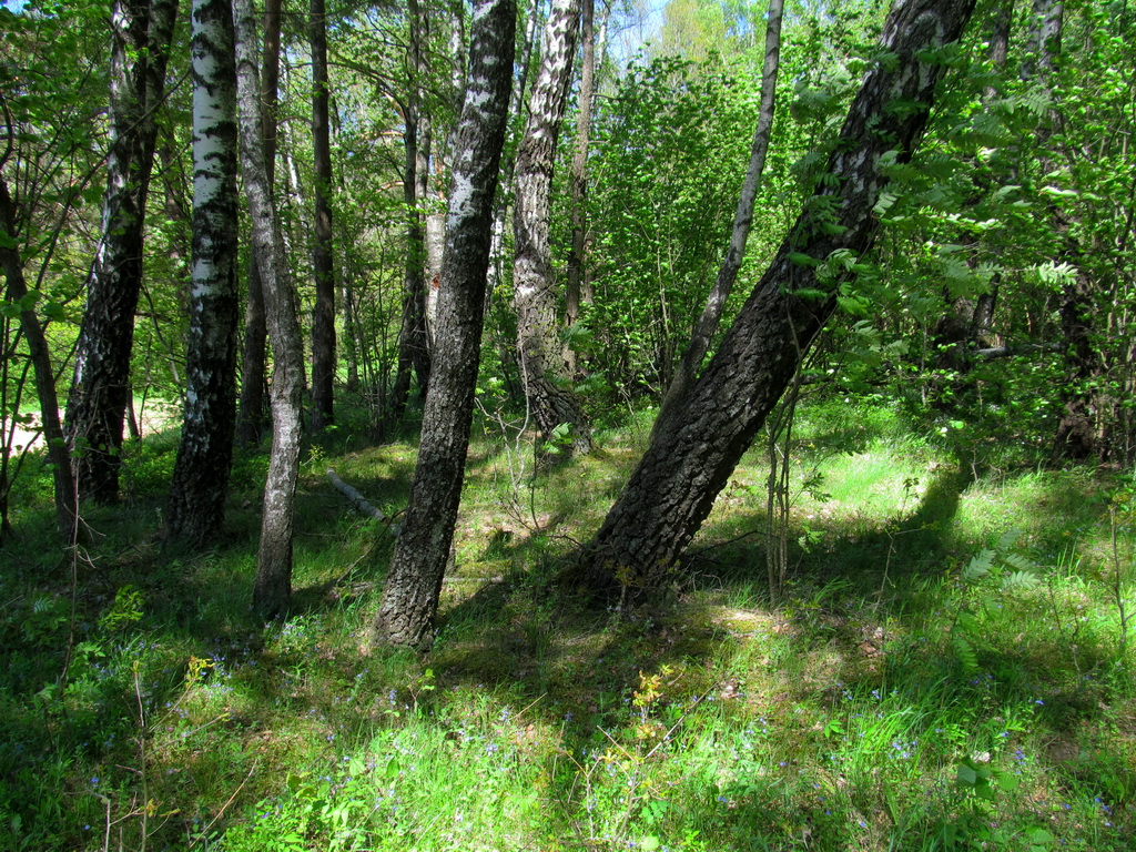 Рутковский пригорок, изображение ландшафта.