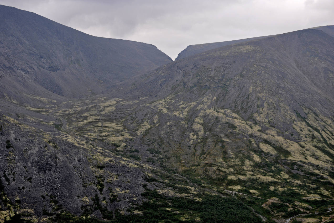 Перевал Северный Рисчорр, image of landscape/habitat.