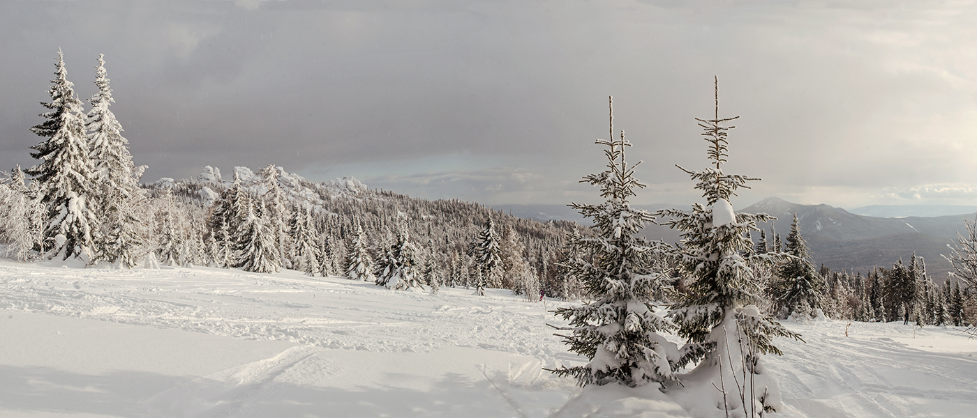 Окрестности хребта Ялангас, image of landscape/habitat.