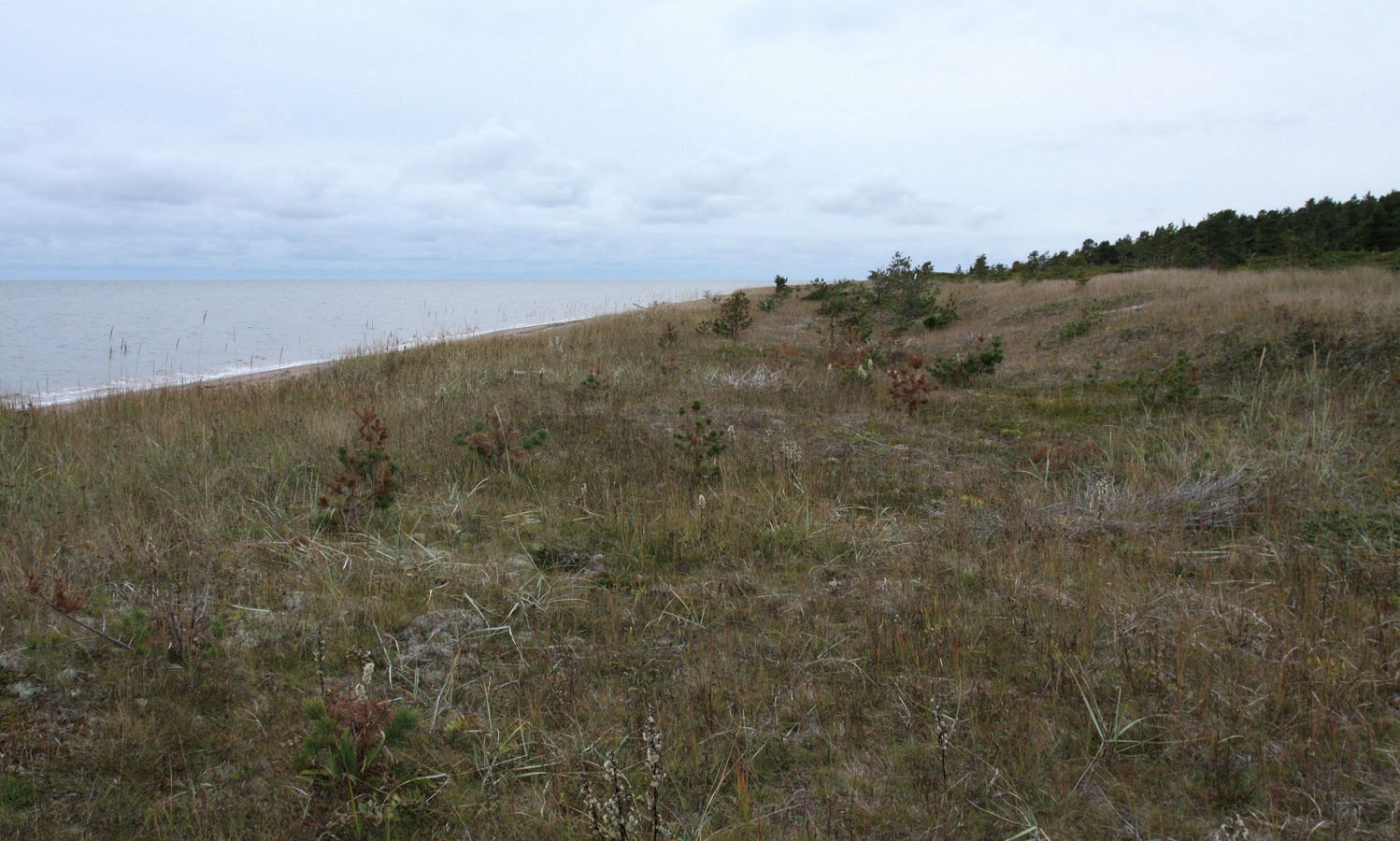 Часовня безымянного инока, image of landscape/habitat.