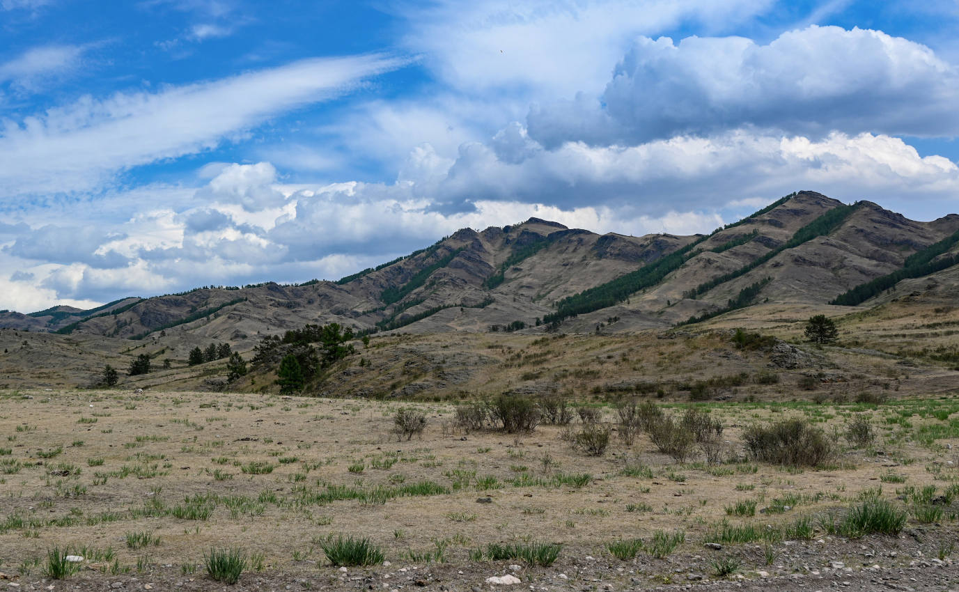 Долина реки Аскиз, image of landscape/habitat.