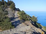 Image of landscape