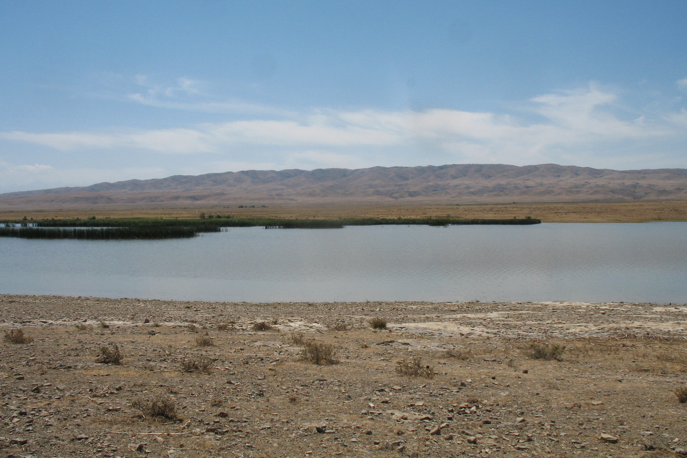 Озеро Нурлы, image of landscape/habitat.