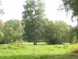 Парк "Сергиевка", image of landscape/habitat.