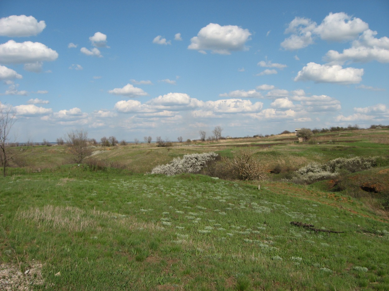 Бугры, image of landscape/habitat.
