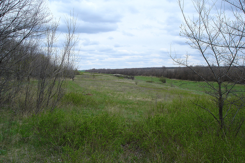 Никаноровка, image of landscape/habitat.