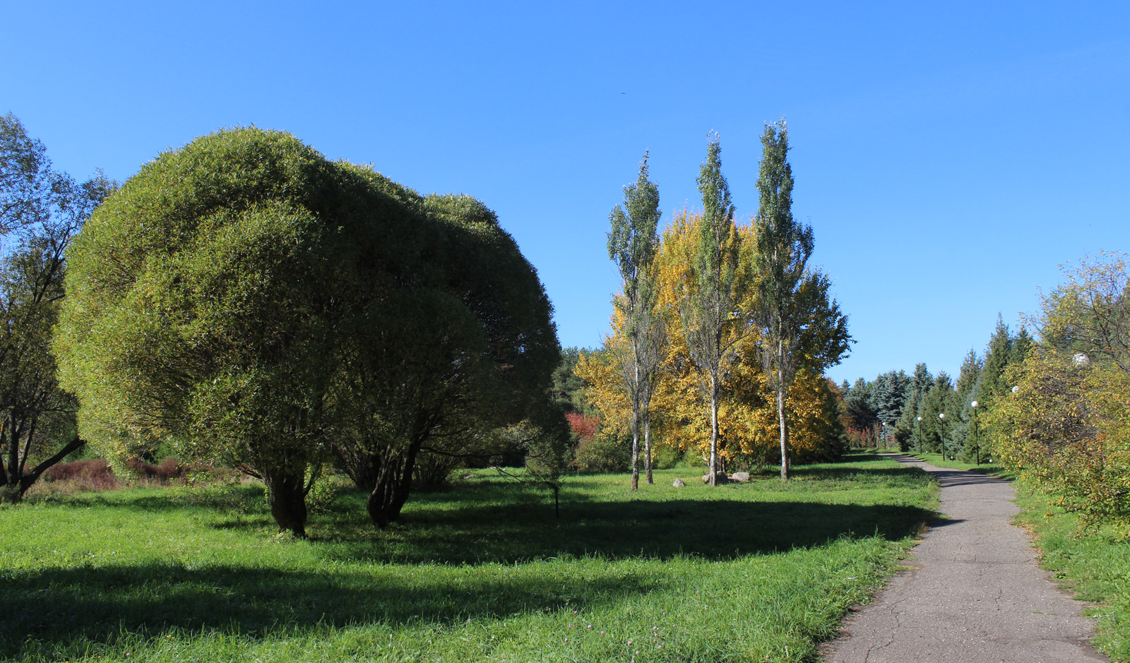 Переславский дендросад, image of landscape/habitat.