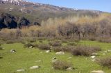 Image of landscape