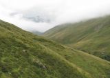 Image of landscape