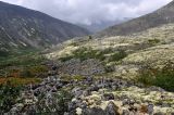 Перевал Северный Рисчорр, image of landscape/habitat.