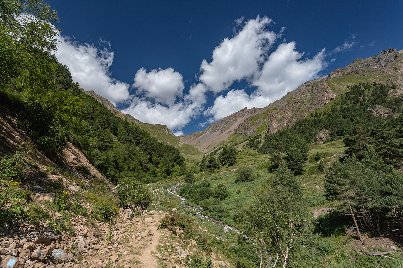 Долина реки Сылтрансу, image of landscape/habitat.