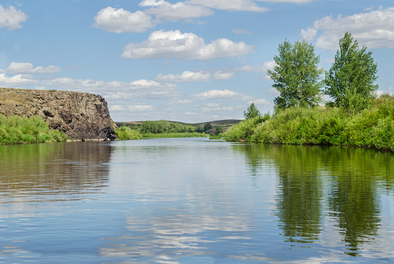 Ершовский, image of landscape/habitat.