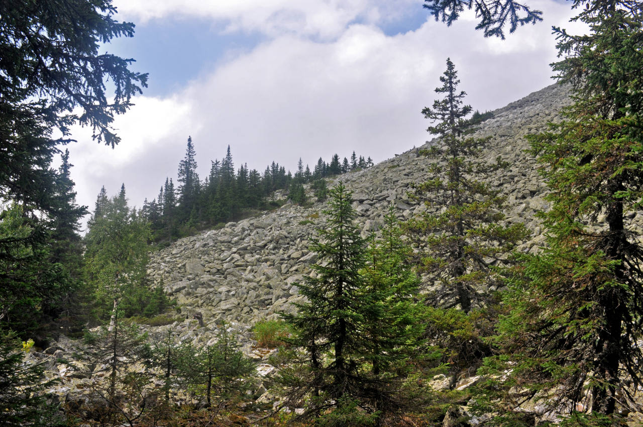 Хребет Зигальга, image of landscape/habitat.