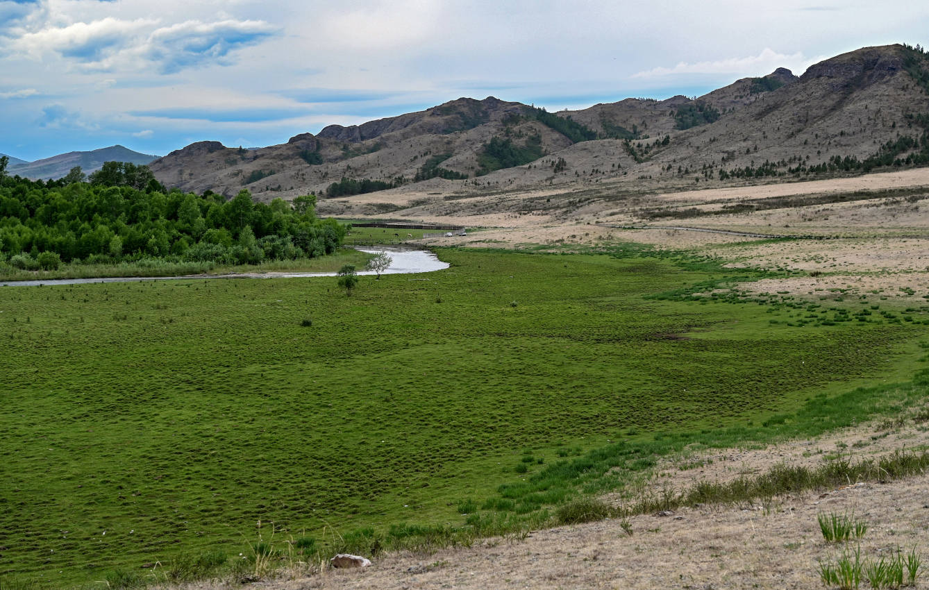 Долина реки Аскиз, image of landscape/habitat.