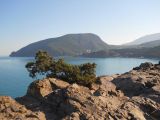 Image of landscape