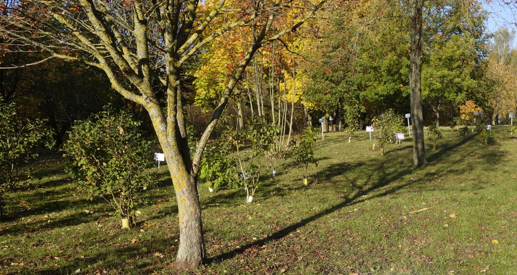Коложа, image of landscape/habitat.