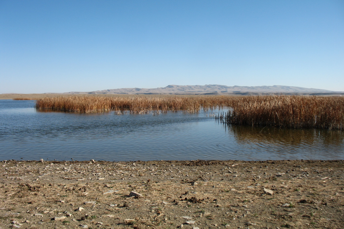 Озеро Нурлы, image of landscape/habitat.