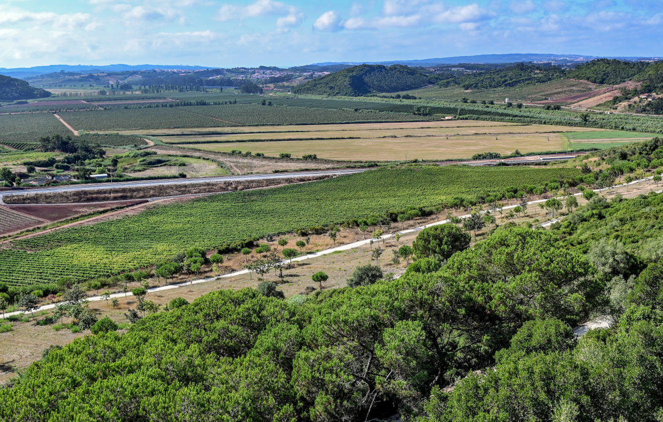 Обидуш, image of landscape/habitat.