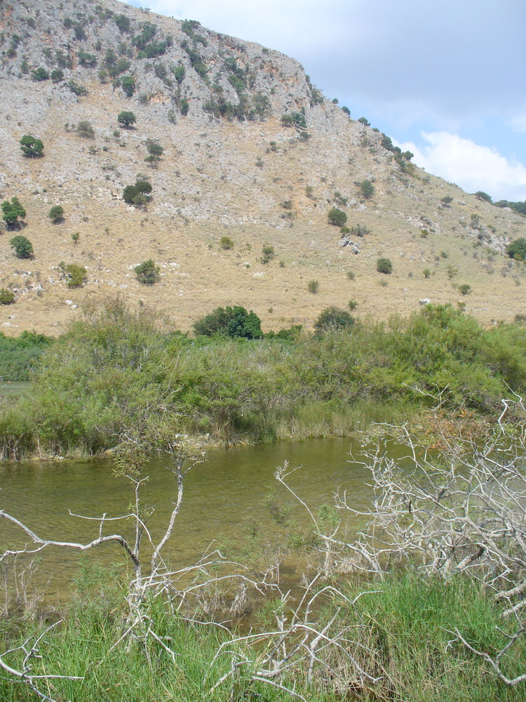 Окрестности Георгиуполиса, image of landscape/habitat.