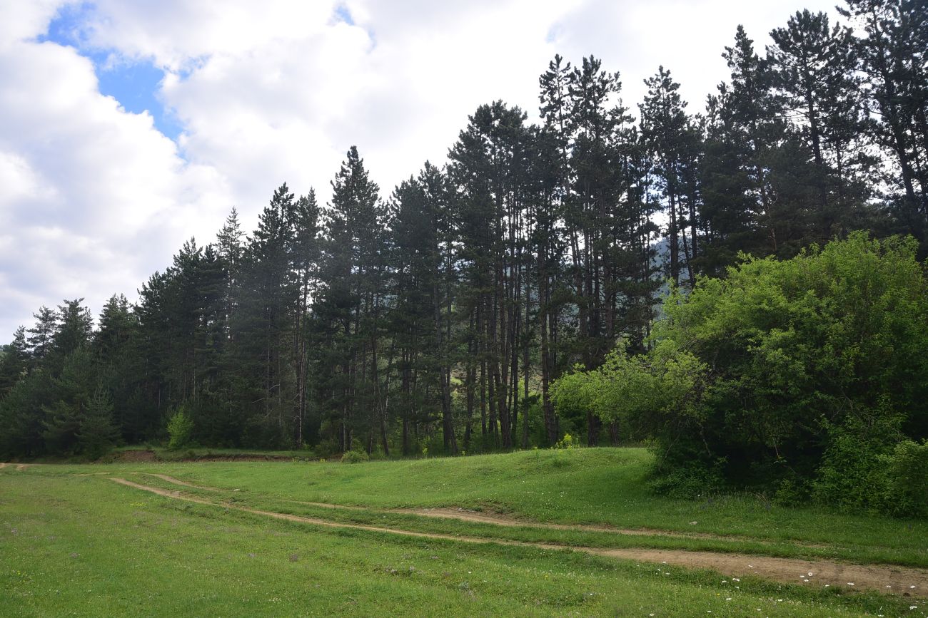 Цинубанская баня, image of landscape/habitat.