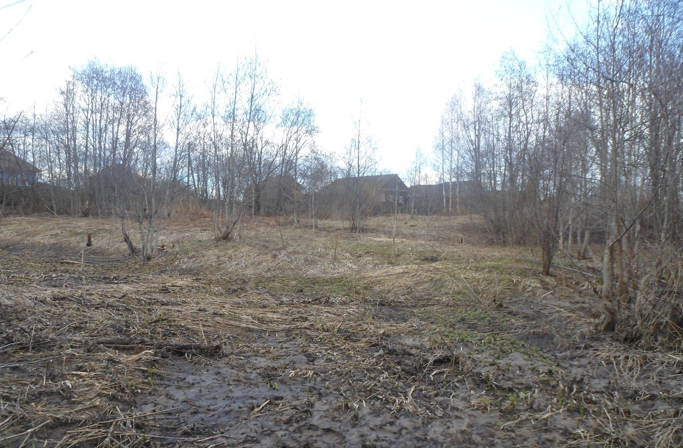 Чистая Дуброва, изображение ландшафта.