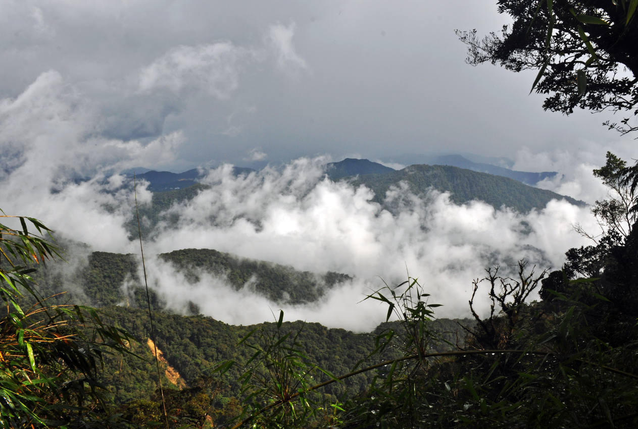 Гора Ирау, image of landscape/habitat.