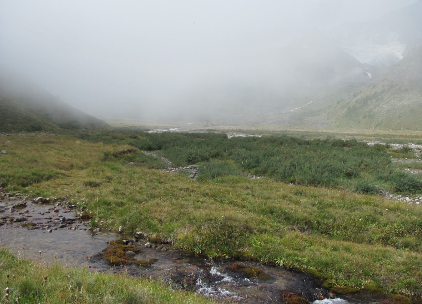 Долина реки Юсеньги, image of landscape/habitat.