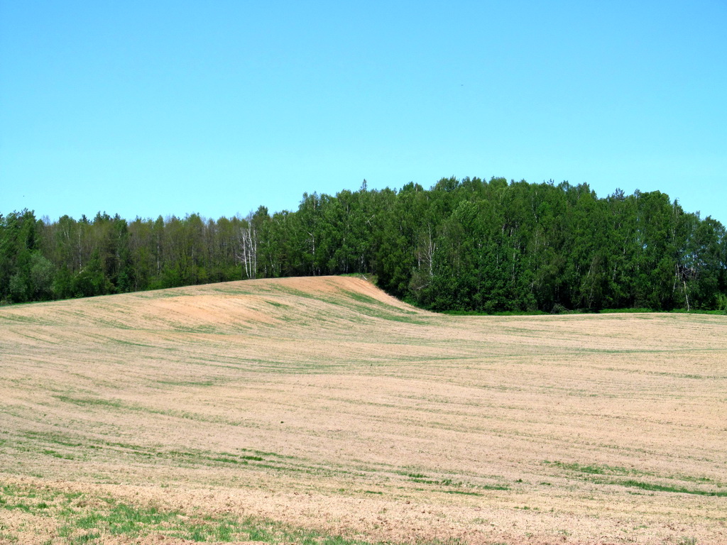 Рутковский пригорок, image of landscape/habitat.