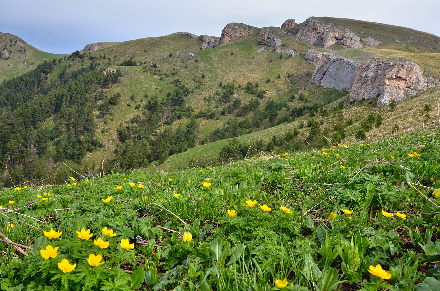 Гора Сундуки, image of landscape/habitat.
